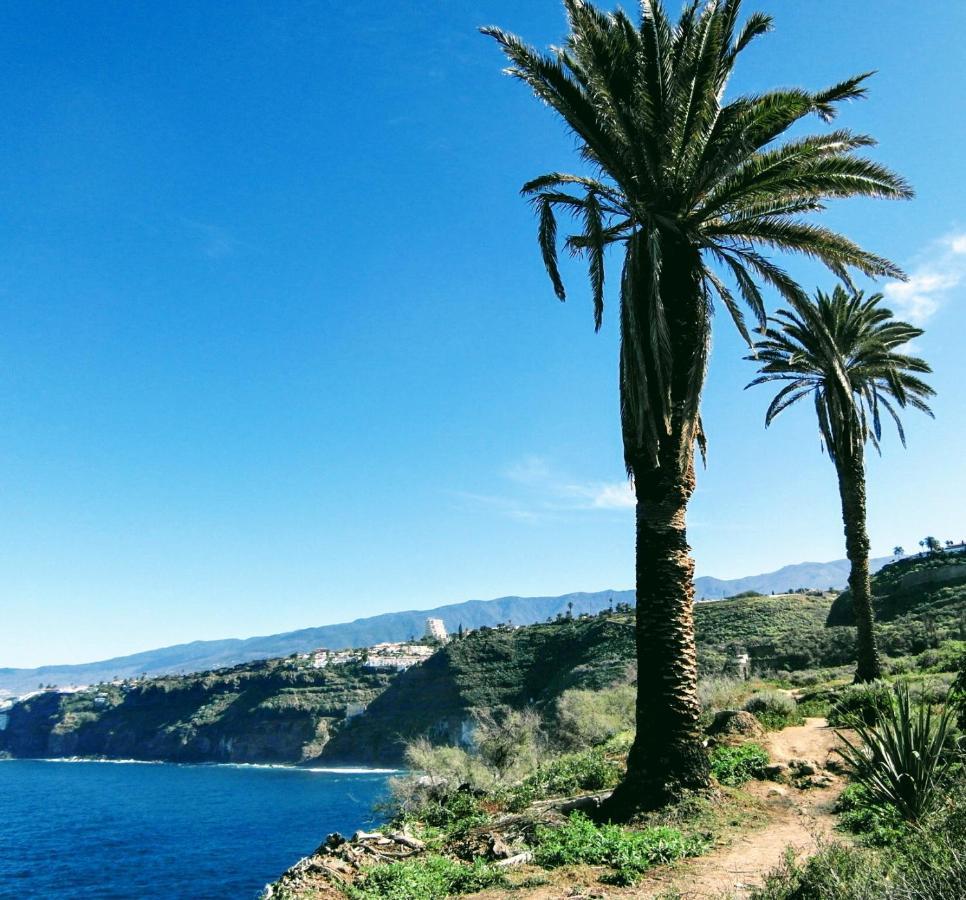 La Pardela Oceanfront Leilighet Los Realejos Eksteriør bilde
