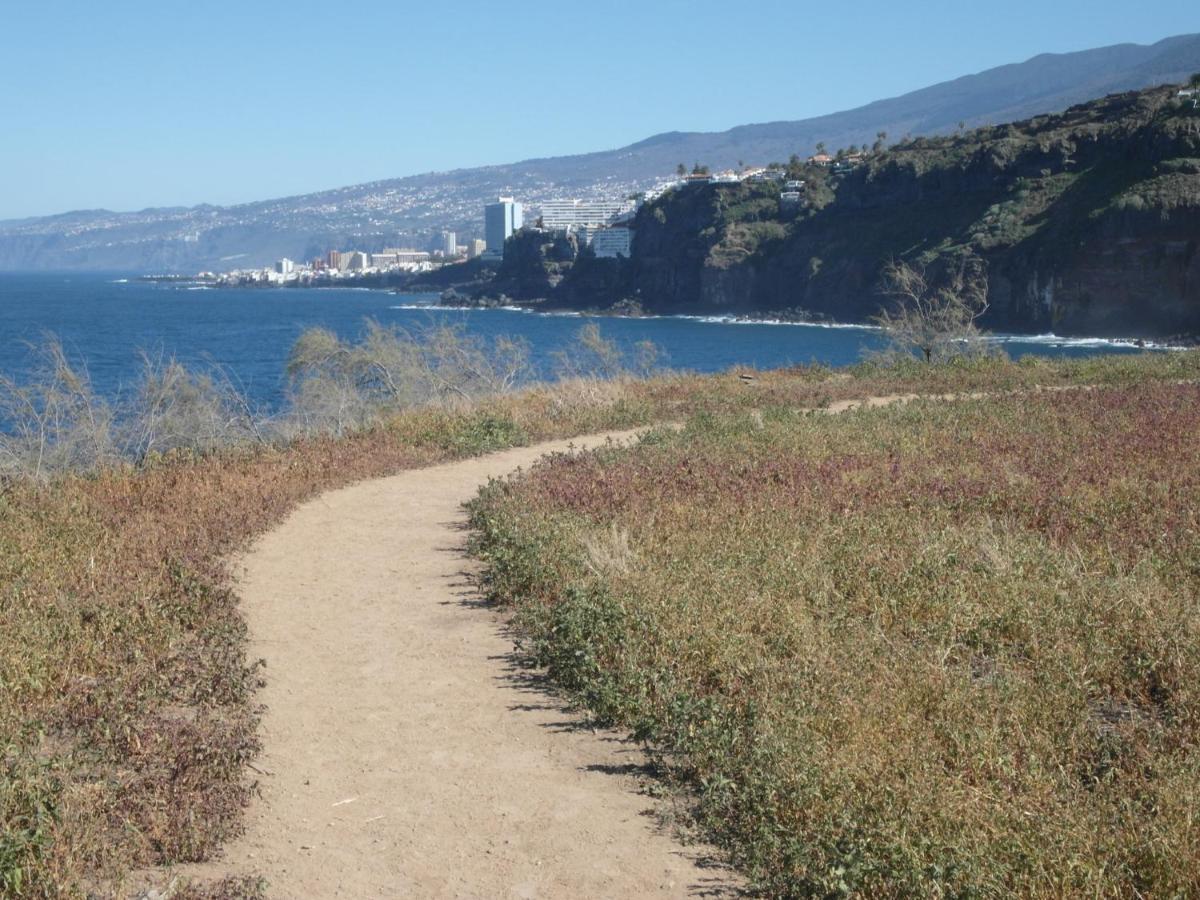 La Pardela Oceanfront Leilighet Los Realejos Eksteriør bilde