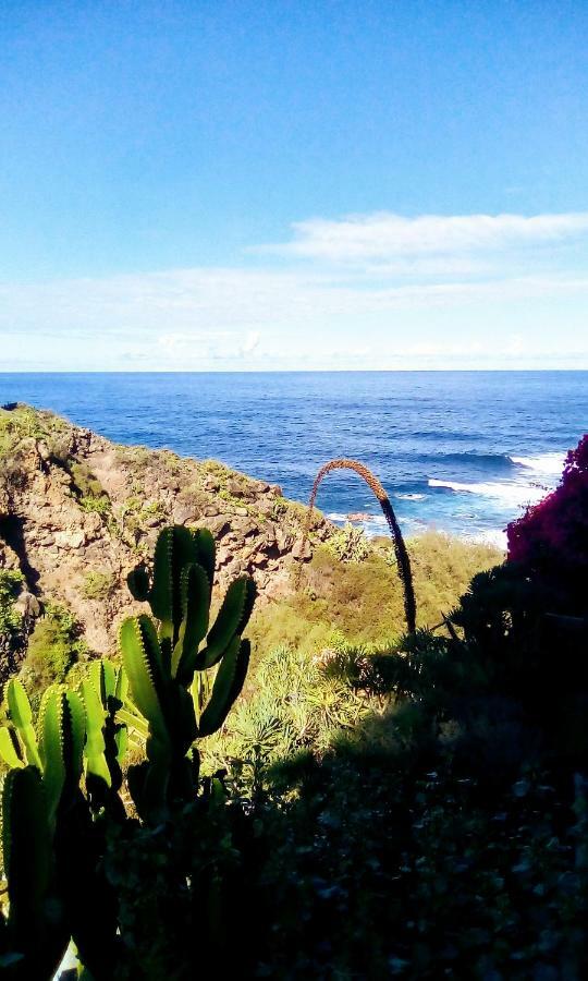 La Pardela Oceanfront Leilighet Los Realejos Eksteriør bilde